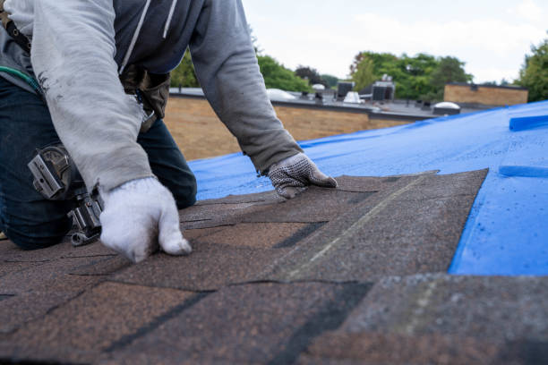 Quick and Trustworthy Emergency Roof Repair Services in Apison, TN
